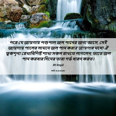 Picture 06 - আদি 30:38 BENIRV - পরে যে জায়গায় - Bible Verse Picture