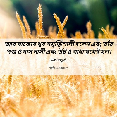 Picture 06 - আদি 30:43 BENIRV - আর যাকোব খুব - Bible Verse Picture