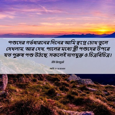 Picture 06 - আদি 31:10 BENIRV - পশুদের গর্ভধারনের - Bible Verse Picture