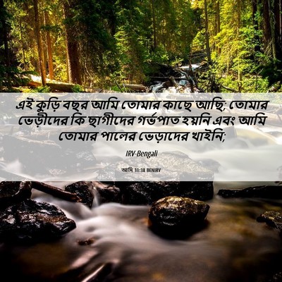 Picture 06 - আদি 31:38 BENIRV - এই কুড়ি বছর আমি - Bible Verse Picture