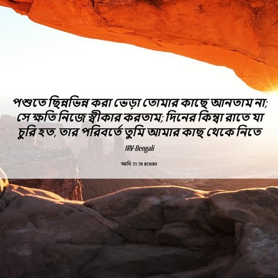 Picture 06 - আদি 31:39 BENIRV - পশুতে ছিন্নভিন্ন - Bible Verse Picture