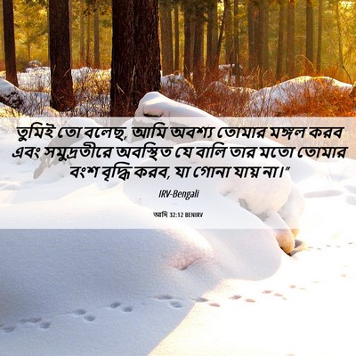 Picture 06 - আদি 32:12 BENIRV - তুমিই তো বলেছ, আমি - Bible Verse Picture
