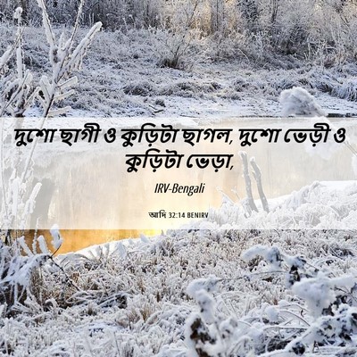 Picture 06 - আদি 32:14 BENIRV - দুশো ছাগী ও - Bible Verse Picture
