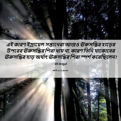 Picture 06 - আদি 32:32 BENIRV - এই কারণ - Bible Verse Picture