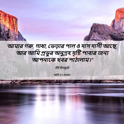 Picture 06 - আদি 32:5 BENIRV - আমার গরু, গাধা, - Bible Verse Picture