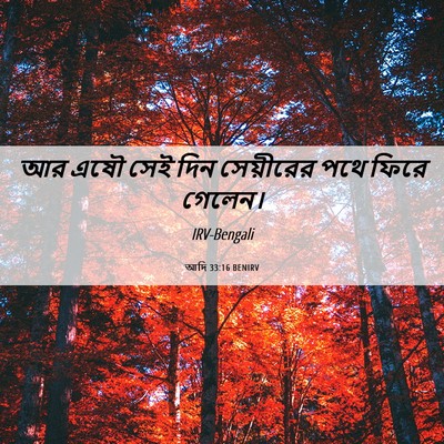 Picture 06 - আদি 33:16 BENIRV - আর এষৌ সেই দিন - Bible Verse Picture