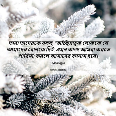 Picture 06 - আদি 34:14 BENIRV - তারা তাদেরকে বলল, - Bible Verse Picture