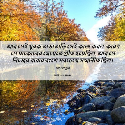 Picture 06 - আদি 34:19 BENIRV - আর সেই যুবক - Bible Verse Picture