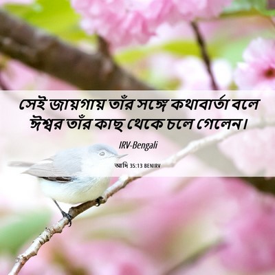 Picture 06 - আদি 35:13 BENIRV - সেই জায়গায় তাঁর - Bible Verse Picture