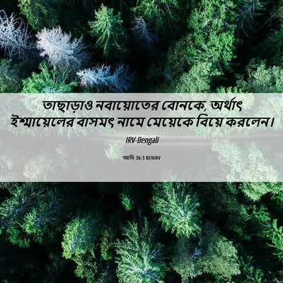 Picture 06 - আদি 36:3 BENIRV - তাছাড়াও - Bible Verse Picture