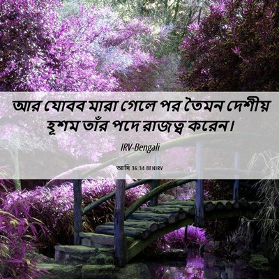 Picture 06 - আদি 36:34 BENIRV - আর যোবব মারা গেলে - Bible Verse Picture