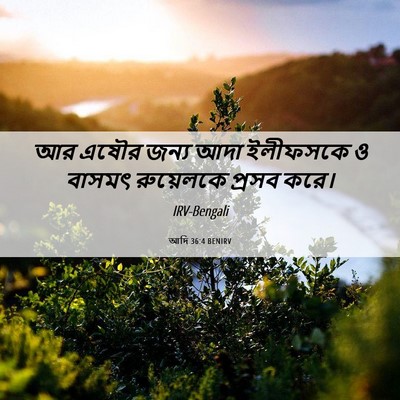 Picture 06 - আদি 36:4 BENIRV - আর এষৌর জন্য আদা - Bible Verse Picture