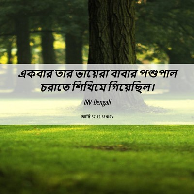 Picture 06 - আদি 37:12 BENIRV - একবার তার ভায়েরা - Bible Verse Picture