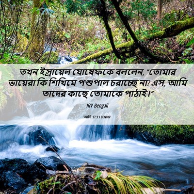 Picture 06 - আদি 37:13 BENIRV - তখন ইস্রায়েল - Bible Verse Picture