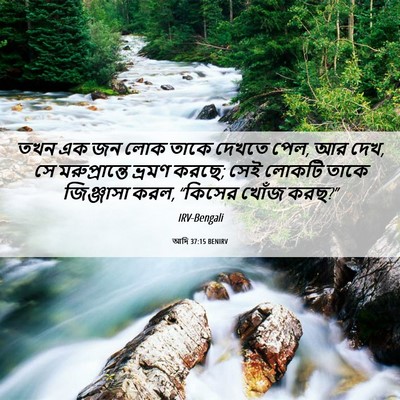 Picture 06 - আদি 37:15 BENIRV - তখন এক জন লোক তাকে - Bible Verse Picture