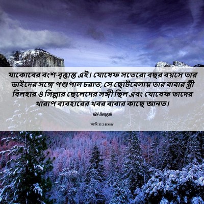 Picture 06 - আদি 37:2 BENIRV - যাকোবের - Bible Verse Picture
