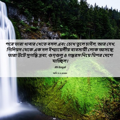 Picture 06 - আদি 37:25 BENIRV - পরে তারা খাবার - Bible Verse Picture