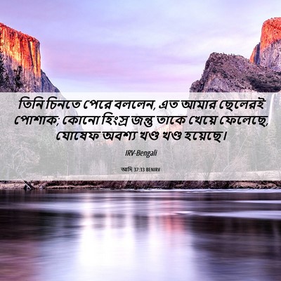 Picture 06 - আদি 37:33 BENIRV - তিনি চিনতে পেরে - Bible Verse Picture