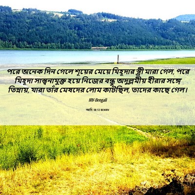 Picture 06 - আদি 38:12 BENIRV - পরে অনেক দিন গেলে - Bible Verse Picture