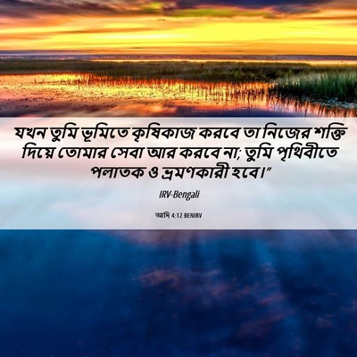 Picture 06 - আদি 4:12 BENIRV - যখন তুমি ভূমিতে - Bible Verse Picture