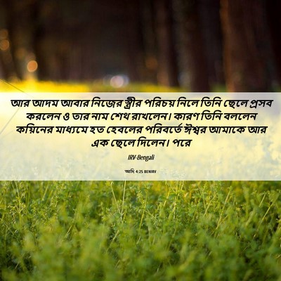 Picture 06 - আদি 4:25 BENIRV - আর আদম আবার নিজের - Bible Verse Picture