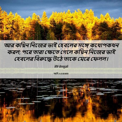 Picture 06 - আদি 4:8 BENIRV - আর কয়িন নিজের ভাই - Bible Verse Picture