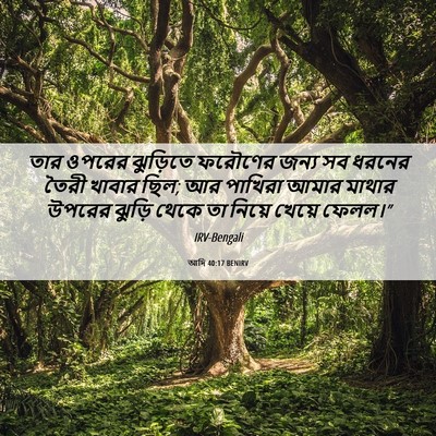 Picture 06 - আদি 40:17 BENIRV - তার ওপরের ঝুড়িতে - Bible Verse Picture