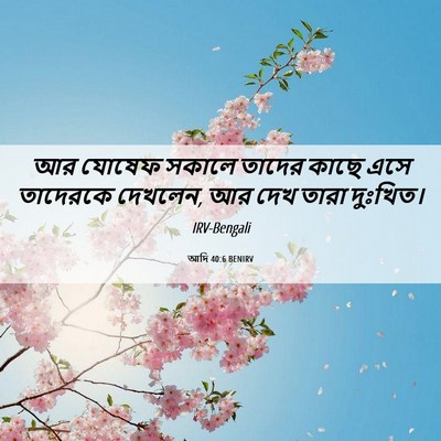 Picture 06 - আদি 40:6 BENIRV - আর যোষেফ সকালে - Bible Verse Picture