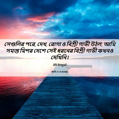 Picture 06 - আদি 41:19 BENIRV - সেগুলির পরে, দেখ, - Bible Verse Picture