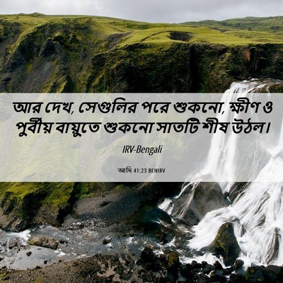 Picture 06 - আদি 41:23 BENIRV - আর দেখ, সেগুলির পরে - Bible Verse Picture