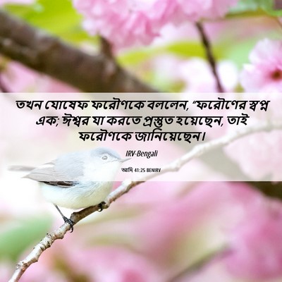 Picture 06 - আদি 41:25 BENIRV - তখন যোষেফ ফরৌণকে - Bible Verse Picture