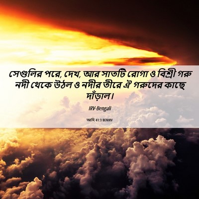 Picture 06 - আদি 41:3 BENIRV - সেগুলির পরে, দেখ, - Bible Verse Picture
