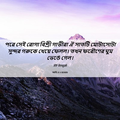Picture 06 - আদি 41:4 BENIRV - পরে সেই রোগা - Bible Verse Picture