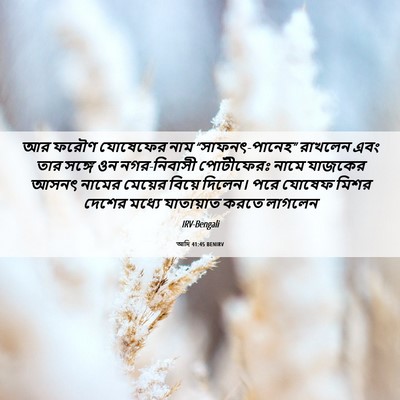 Picture 06 - আদি 41:45 BENIRV - আর ফরৌণ যোষেফের - Bible Verse Picture