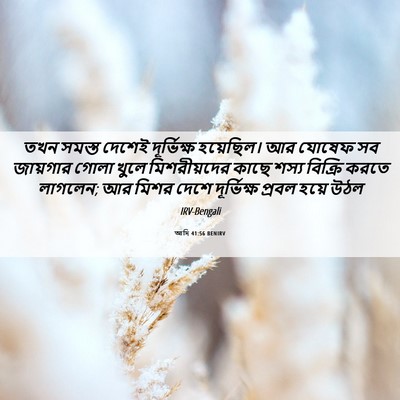 Picture 06 - আদি 41:56 BENIRV - তখন সমস্ত দেশেই - Bible Verse Picture