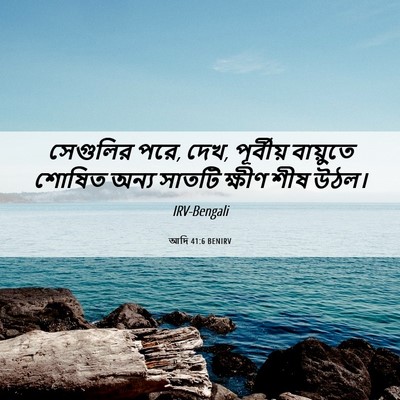 Picture 06 - আদি 41:6 BENIRV - সেগুলির পরে, দেখ, - Bible Verse Picture