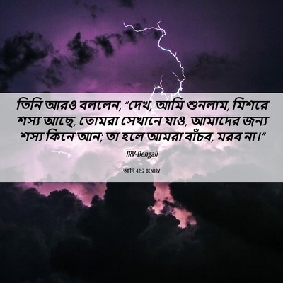Picture 06 - আদি 42:2 BENIRV - তিনি আরও বললেন, - Bible Verse Picture