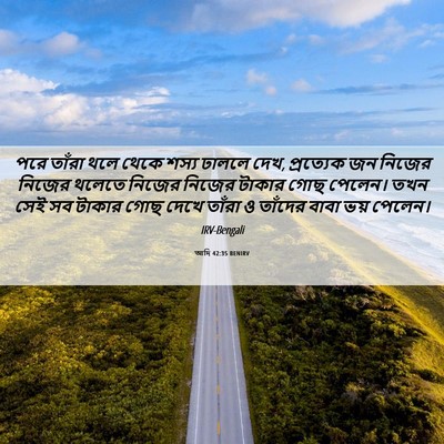 Picture 06 - আদি 42:35 BENIRV - পরে তাঁরা থলে থেকে - Bible Verse Picture