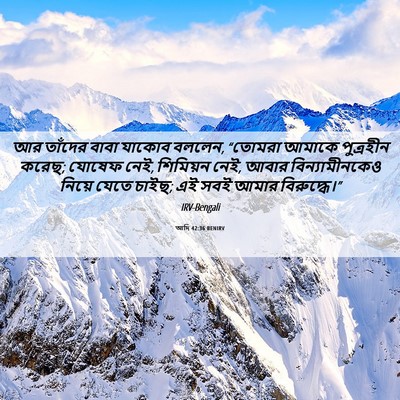 Picture 06 - আদি 42:36 BENIRV - আর তাঁদের বাবা - Bible Verse Picture