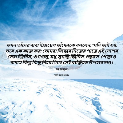 Picture 06 - আদি 43:11 BENIRV - তখন তাঁদের বাবা - Bible Verse Picture