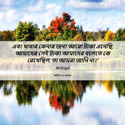 Picture 06 - আদি 43:22 BENIRV - এবং খাবার কেনার - Bible Verse Picture
