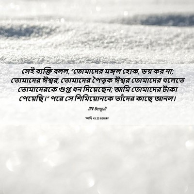 Picture 06 - আদি 43:23 BENIRV - সেই ব্যক্তি বলল, - Bible Verse Picture