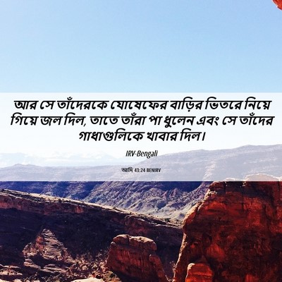 Picture 06 - আদি 43:24 BENIRV - আর সে তাঁদেরকে - Bible Verse Picture