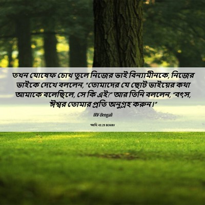 Picture 06 - আদি 43:29 BENIRV - তখন যোষেফ চোখ তুলে - Bible Verse Picture