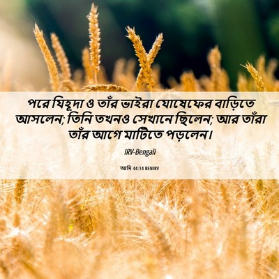 Picture 06 - আদি 44:14 BENIRV - পরে যিহূদা ও তাঁর - Bible Verse Picture