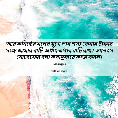 Picture 06 - আদি 44:2 BENIRV - আর কনিষ্ঠের থলের - Bible Verse Picture