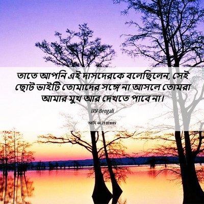 Picture 06 - আদি 44:23 BENIRV - তাতে আপনি এই - Bible Verse Picture