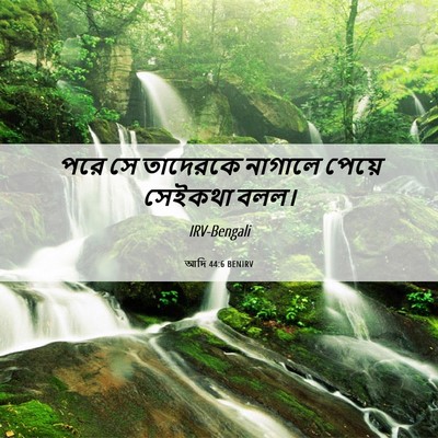 Picture 06 - আদি 44:6 BENIRV - পরে সে তাদেরকে - Bible Verse Picture