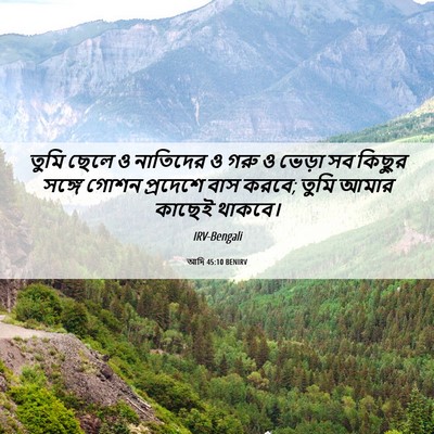Picture 06 - আদি 45:10 BENIRV - তুমি ছেলে ও - Bible Verse Picture