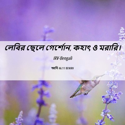 Picture 06 - আদি 46:11 BENIRV - লেবির ছেলে - Bible Verse Picture